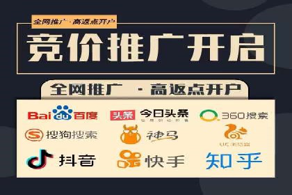 行业领先企业的SEM运营策略案例解析